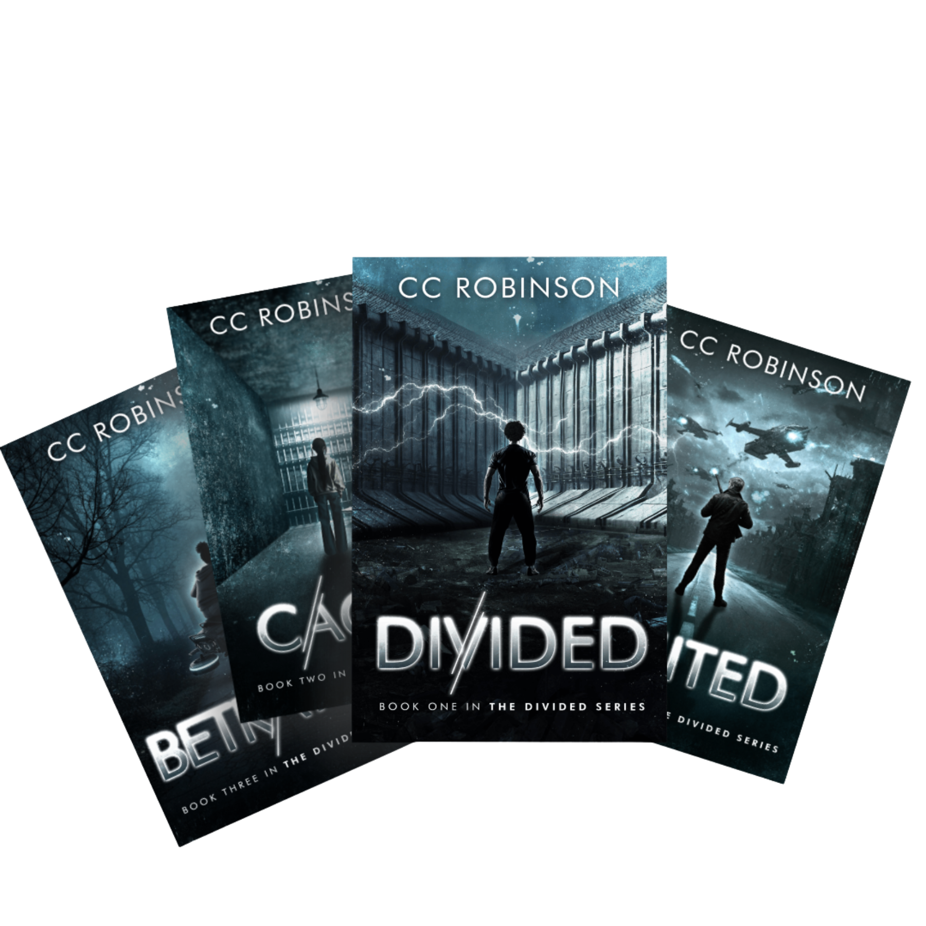Divided: A Young Adult Dystopian Series